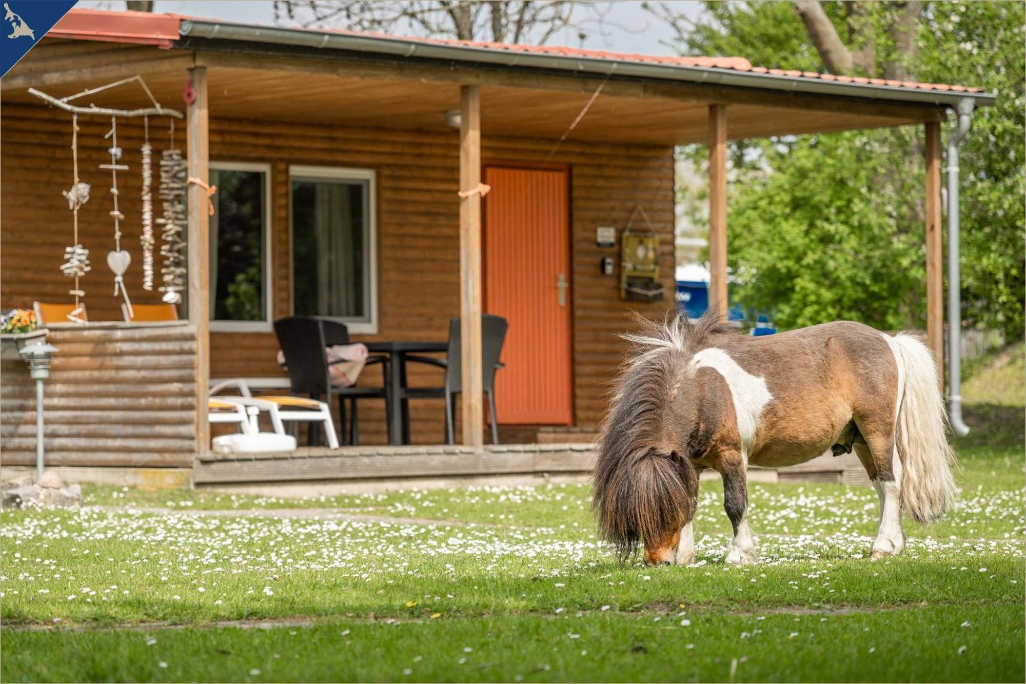 Ferienresort Moewenort Luetow Bungalow 1 Lutow Экстерьер фото